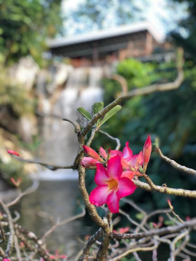 Jolie Petite Villa Sur Une Presqu'Ile Le Gosier  Ngoại thất bức ảnh
